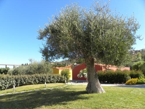 Imagen general del Camping Rebi Village. Foto 5