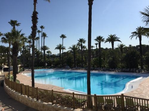 Imagen general del Camping Resort La Baume La Palmeraie. Foto 2