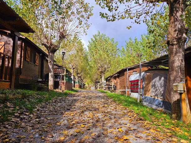 Imagen de los interiores del Camping Ribera Del Ara. Foto 9