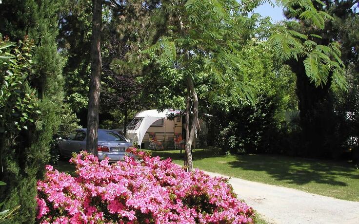 Imagen general del Camping Riviera, Cannobio. Foto 5