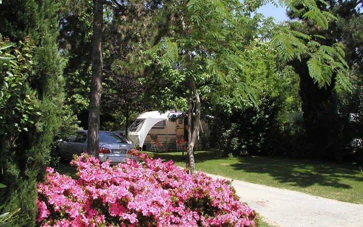 Imagen de los exteriores del Camping Riviera, Cannobio. Foto 37