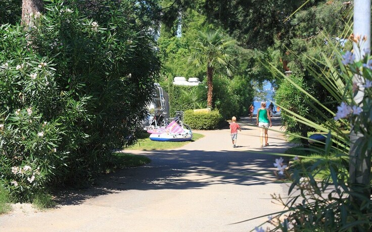 Imagen de los exteriores del Camping Riviera, Cannobio. Foto 38