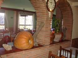 Imagen del bar/restaurante del Camping Ruta Del Purche. Foto 3