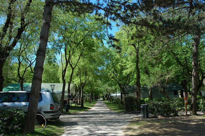 Imagen de los interiores del Camping Sabbiadoro. Foto 10