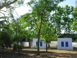 Imagen general del Camping San Antonio, Bahia San Antonio. Foto 5