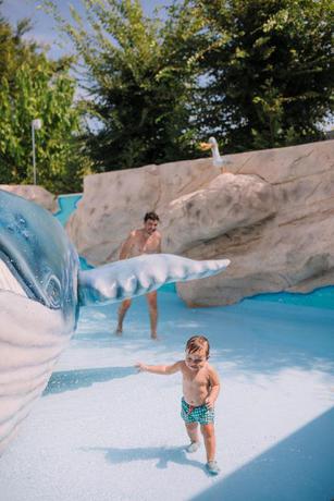 Imagen de la piscina del Camping Sènia Caballo De Mar. Foto 25