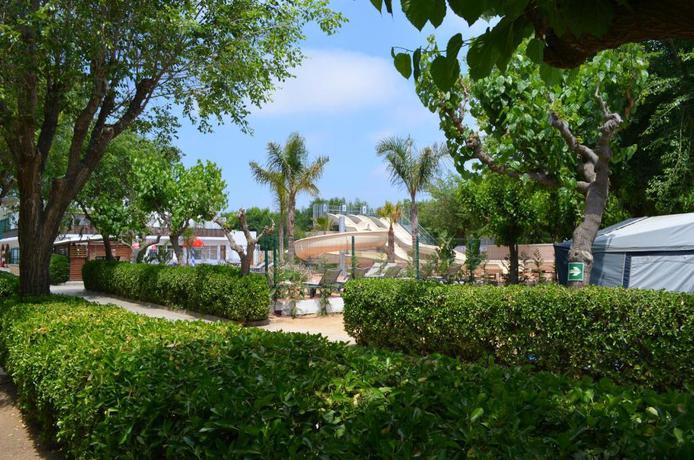 Imagen general del Camping Sènia Caballo De Mar. Foto 11