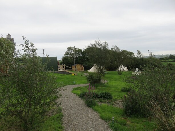 Imagen general del Camping Shannon Estuary Glamping. Foto 19