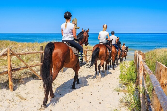 Imagen general del Camping Stary Nights Luxury. Foto 9