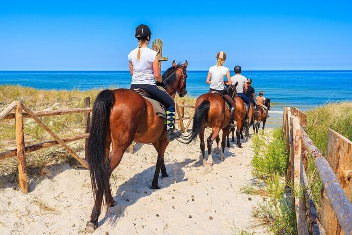 Imagen general del Camping Stary Nights Luxury. Foto 3