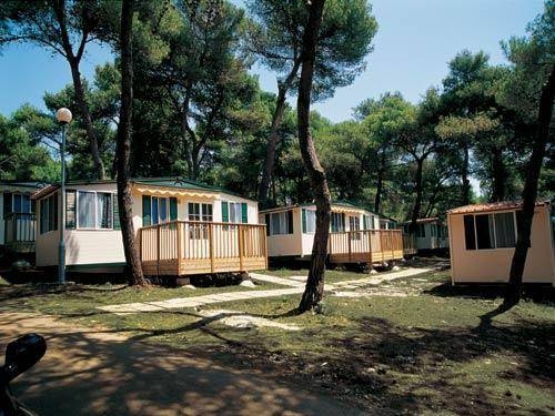 Imagen general del Camping Stoja. Foto 1