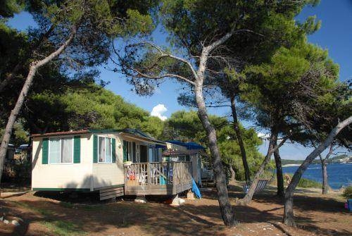 Imagen general del Camping Stoja. Foto 9