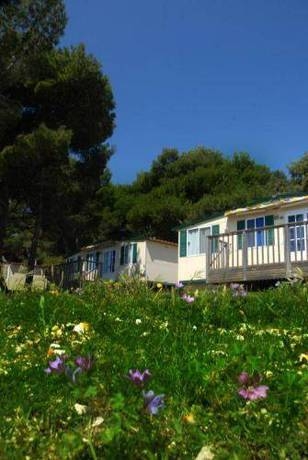 Imagen general del Camping Stoja. Foto 11