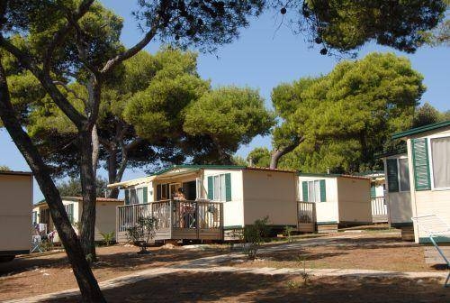 Imagen general del Camping Stoja. Foto 13