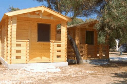 Imagen general del Camping Surfing Beach Huts. Foto 2