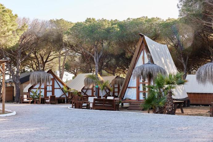 Imagen de los interiores del Camping TAIGA Conil. Foto 6