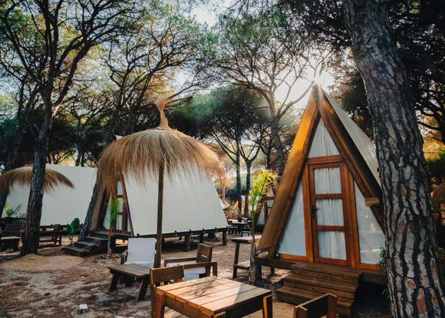 Imagen de los interiores del Camping TAIGA Conil. Foto 8