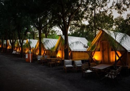 Imagen de la habitación del Camping TAIGA Tarifa Punta Paloma. Foto 3