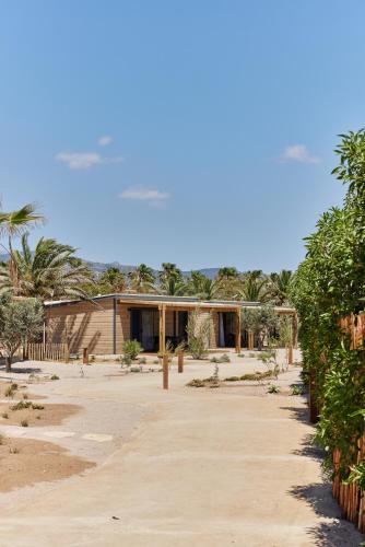 Imagen de la habitación del Camping Taiga Delta de l'Ebre. Foto 15