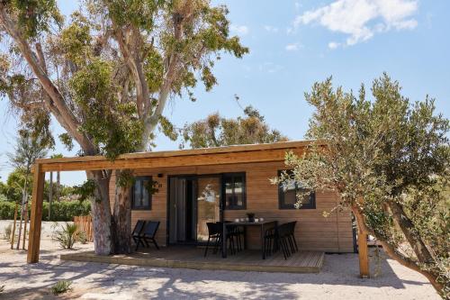 Imagen de la habitación del Camping Taiga Delta de l'Ebre. Foto 17