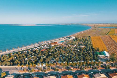 Imagen general del Camping Taiga Delta de l'Ebre. Foto 8