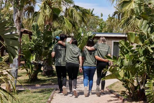 Imagen general del Camping Taiga Delta de l'Ebre. Foto 2