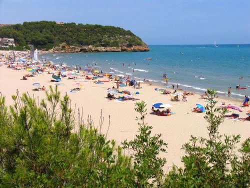 Imagen general del Camping Torre de la Mora. Foto 6