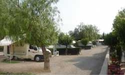 Imagen de los exteriores del Camping Totana. Foto 2