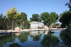 Imagen de los exteriores del Camping Totana. Foto 4