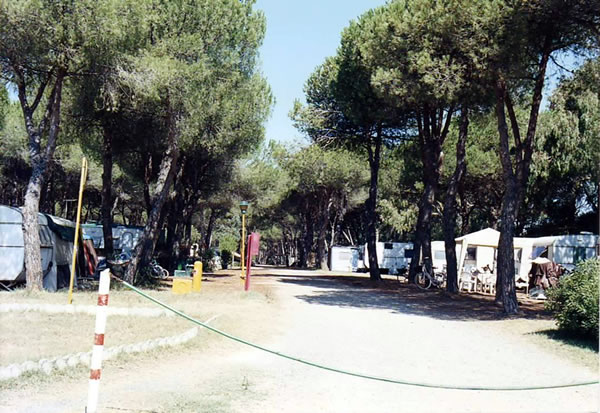 Imagen general del Camping Traiano, Roma. Foto 1