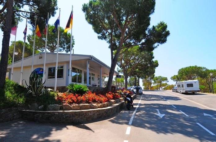 Imagen de los interiores del Camping Treumal. Foto 18