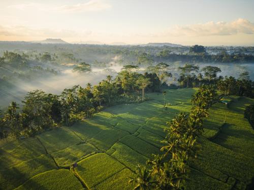 Imagen de los exteriores del Camping Ubud Mas Glamping Luxury Tent. Foto 13