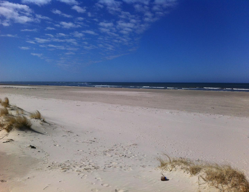 Imagen general del Camping Vejers Family & Cottages. Foto 6