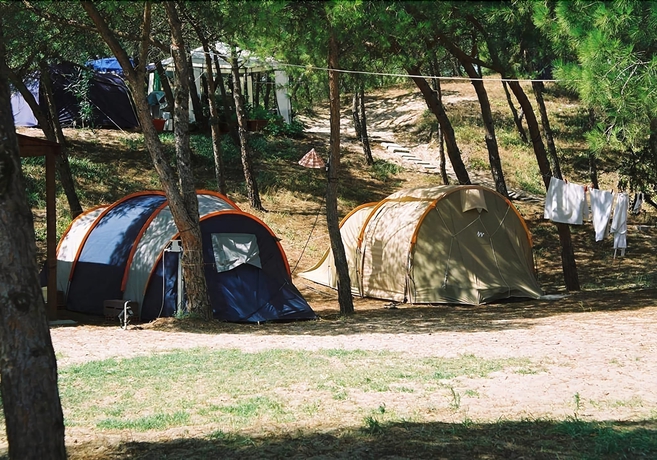 Imagen de los exteriores del Camping Village Li Nibari. Foto 7