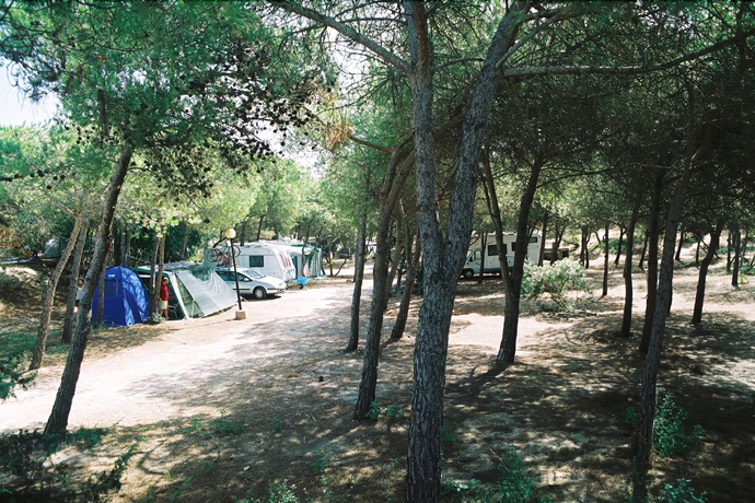 Imagen de los exteriores del Camping Village Li Nibari. Foto 8