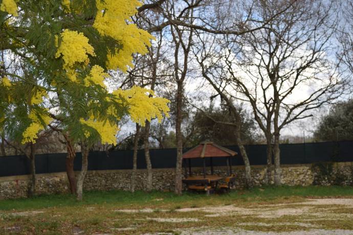 Imagen de los exteriores del Camping Villaggio Bosco Selva. Foto 18