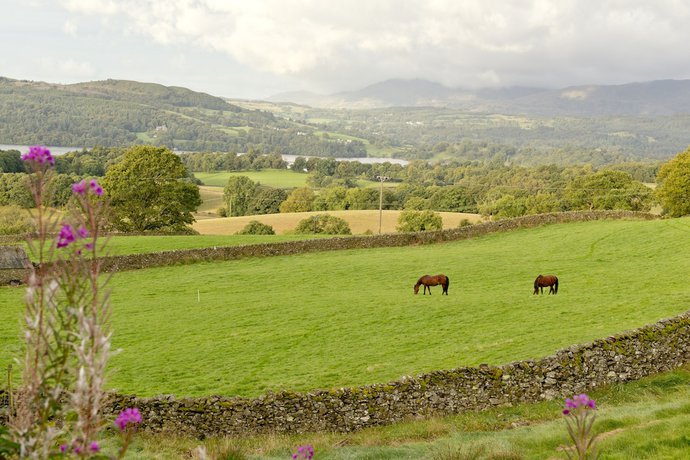 Imagen general del Camping YHA Windermere - Hostel. Foto 1
