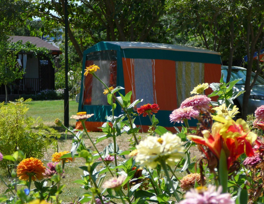 Imagen general del Camping Zora - Bungalows. Foto 23