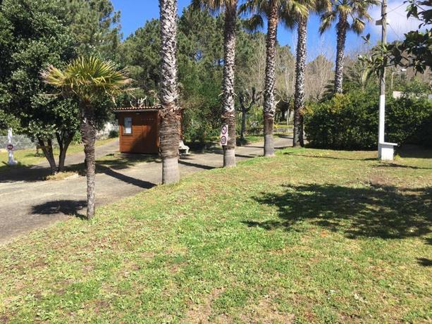 Imagen de los exteriores del Camping and Glamping Muiñeira. Foto 9