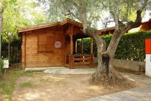 Imagen de los exteriores del Camping las Lomas, Güéjar-Sierra. Foto 8