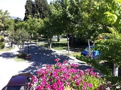 Imagen de los exteriores del Camping y Bungalows Mar&iacute;a Eugenia. Foto 8