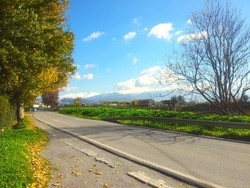 Imagen de los exteriores del Camping y Bungalows Mar&iacute;a Eugenia. Foto 9