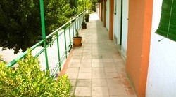 Imagen de los exteriores del Camping y Bungalows Mar&iacute;a Eugenia. Foto 10
