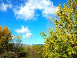 Imagen de los exteriores del Camping y Bungalows Mar&iacute;a Eugenia. Foto 12