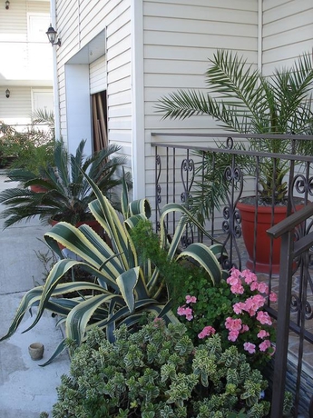 Imagen general del Casa de Huéspedes Alina, Sirius. Foto 5