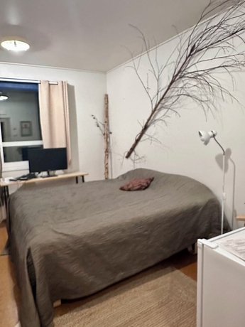 Imagen de la habitación del Casa de Huéspedes Arctic Shaman Adventures-Jurtta. Foto 4