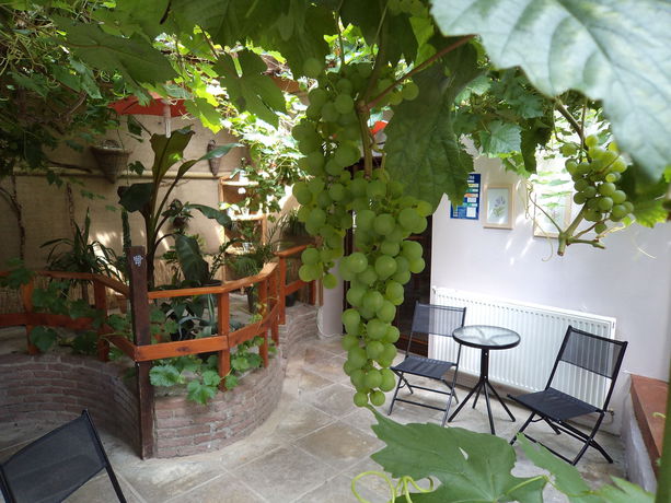 Imagen general del Casa de Huéspedes Auberge Du Moulin D'audenfort. Foto 6
