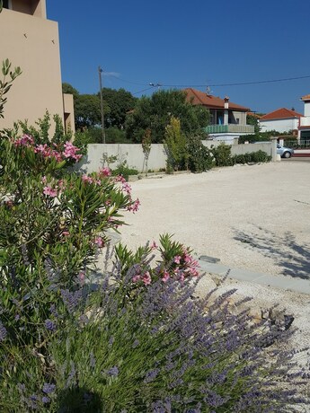 Imagen general del Casa de Huéspedes Avalena Residence. Foto 8