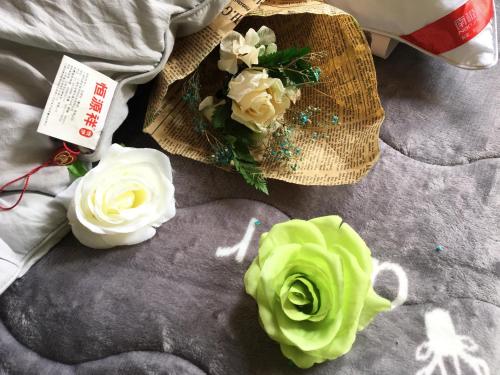 Imagen de la habitación del Casa de Huéspedes Beihai Neat International. Foto 8