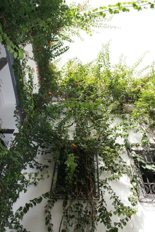 Imagen de los interiores del Casa de Huéspedes Bougainvillea Riad. Foto 17
